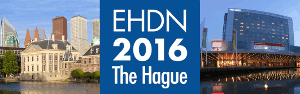 Logo_300dpi-3x8cm-the-hague-2016