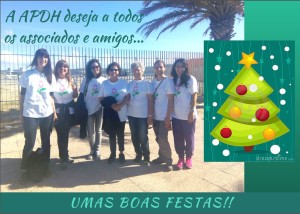boas festas APDH