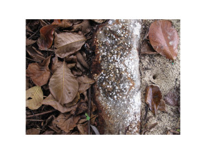 07_jorge sequeiros_10x15