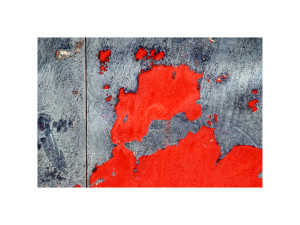 12_jorge martinho_10x15