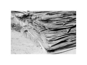 18_fernando faria_10x15