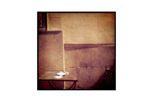 21_francisco feio_10x15